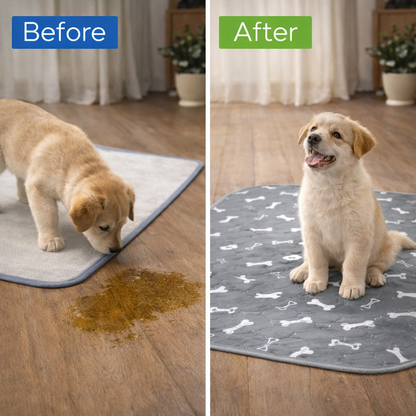 Dognetic™ - Attraction Pee Pad
