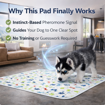 Dognetic™ - Attraction Pee Pad