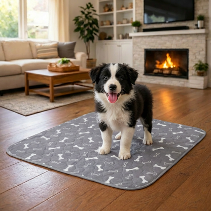 Dognetic™ - Attraction Pee Pad