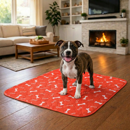 Dognetic™ - Attraction Pee Pad